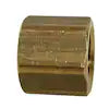 3/4 in. FIP Brass Cap Fitting