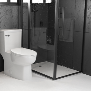 DAX Ceramic Toilet with Soft Closing Seat, White BSN-CL12335S