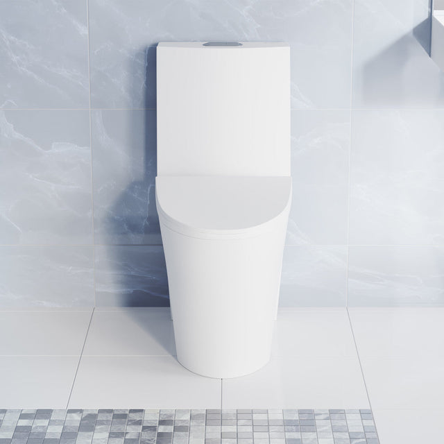 St. Tropez One-Piece Elongated Toilet Vortex Dual-Flush in Matte White 1.1/1.6 gpf
