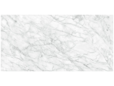 Anatolia Tile 24X48 Plata Carrara M Matte 4500-0960-0 Carrara Abisso 24x48 Matte - premium natural stone mosaic tile from Anatolia Tile, available at PoshHaus showroom in Keene, NH