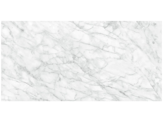 Anatolia Tile 24X48 Plata Carrara P Polished 4500-0959-0 Carrara Abisso 24x48 Polished - premium natural stone mosaic tile from Anatolia Tile, available at PoshHaus showroom in Keene, NH