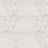 Pietra Carrara 12"x24" Glazed Polished Porcelain Floor and Wall Tile - MSI Collection PIETRA CARRARA POLISHED 12X24 (Case)