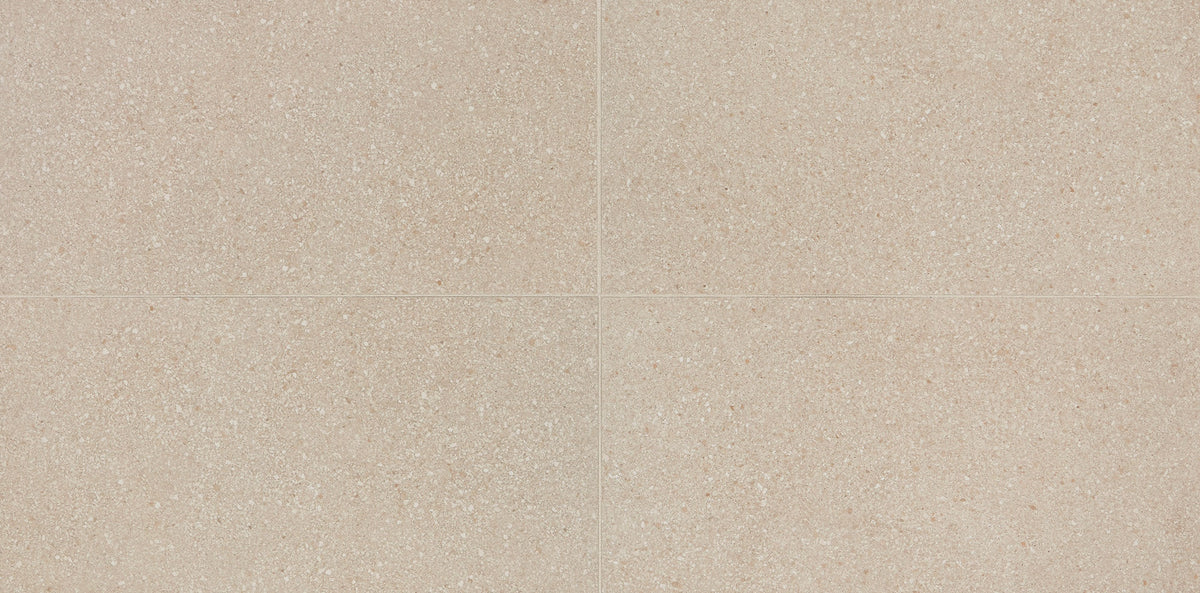 American Olean Neospeck Beige Rectangle 12x24 Light Polished Floor Tile
