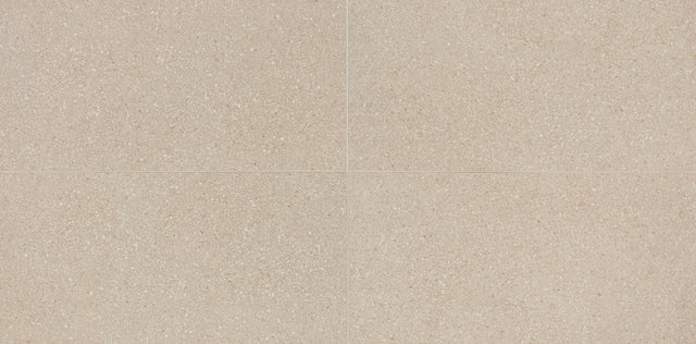 American Olean Neospeck Beige Rectangle 12x24 Light Polished Floor Tile