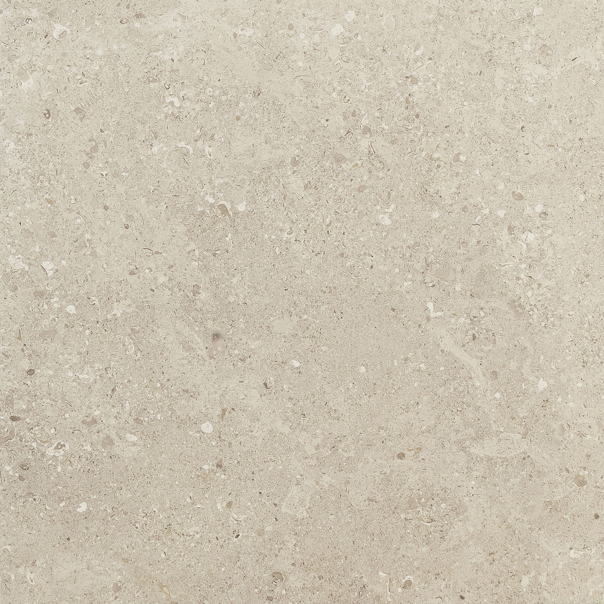 Daltile Dignitary Notable Beige 1224SRHR Right Hand Return Step Nose Textured Floor Tile Trim