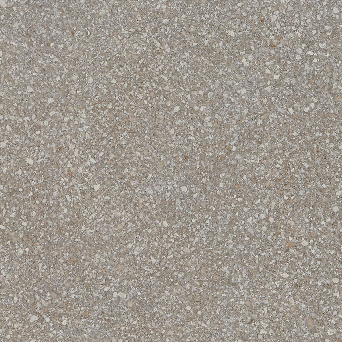 American Olean Neospeck Medium Gray Square 24x24 Light Polished Floor Tile