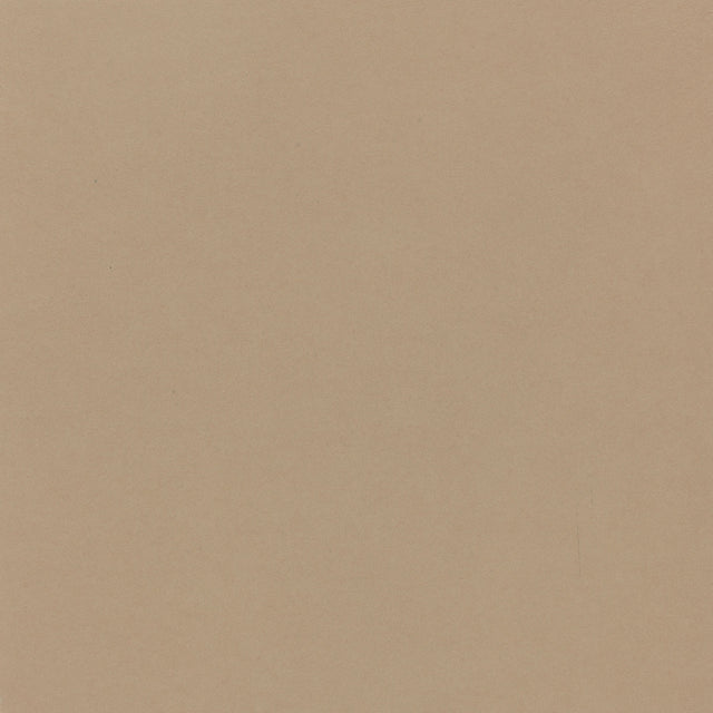 Daltile Plaza Nova Beige Haze Rectangle 4x24 Matte Floor Tile