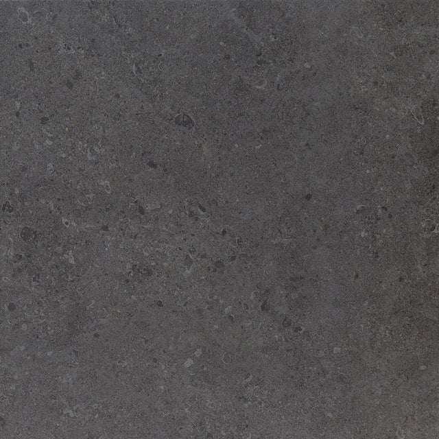 Daltile Dignitary Governor Black Square 24x24 Matte Floor Tile