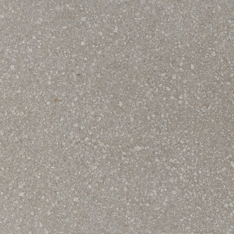 American Olean Neospeck Light Gray Square 24x24 Light Polished Floor Tile