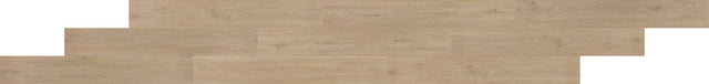 Daltile Pines Terrace Sugar Glue Down 7 1/4x48 3.0MM 20 MIL(0.508MM) Luxury Vinyl Tile