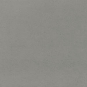 Daltile Plaza Nova Gray Fog Rectangle 2x24 Matte Floor Tile