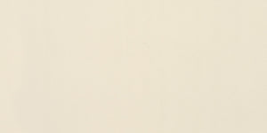 American Olean Clay Canvas Paint Rectangle 6x24 Matte Floor Tile