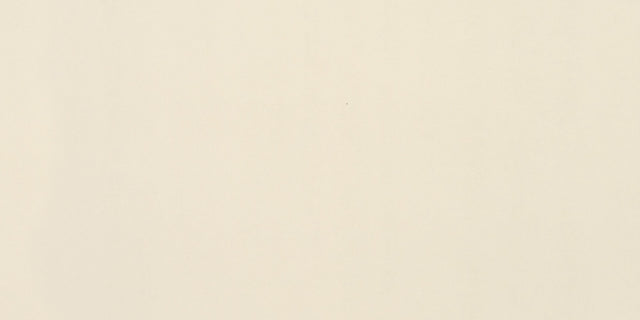 American Olean Clay Canvas Paint Rectangle 6x24 Matte Floor Tile