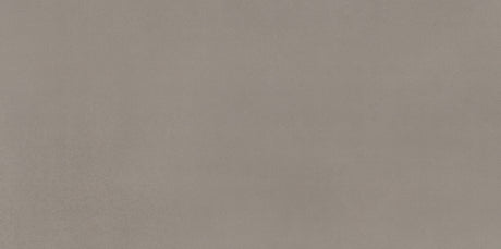 American Olean Neoconcrete Medium Gray Rectangle 12x24 Stepwise Matte Floor Tile