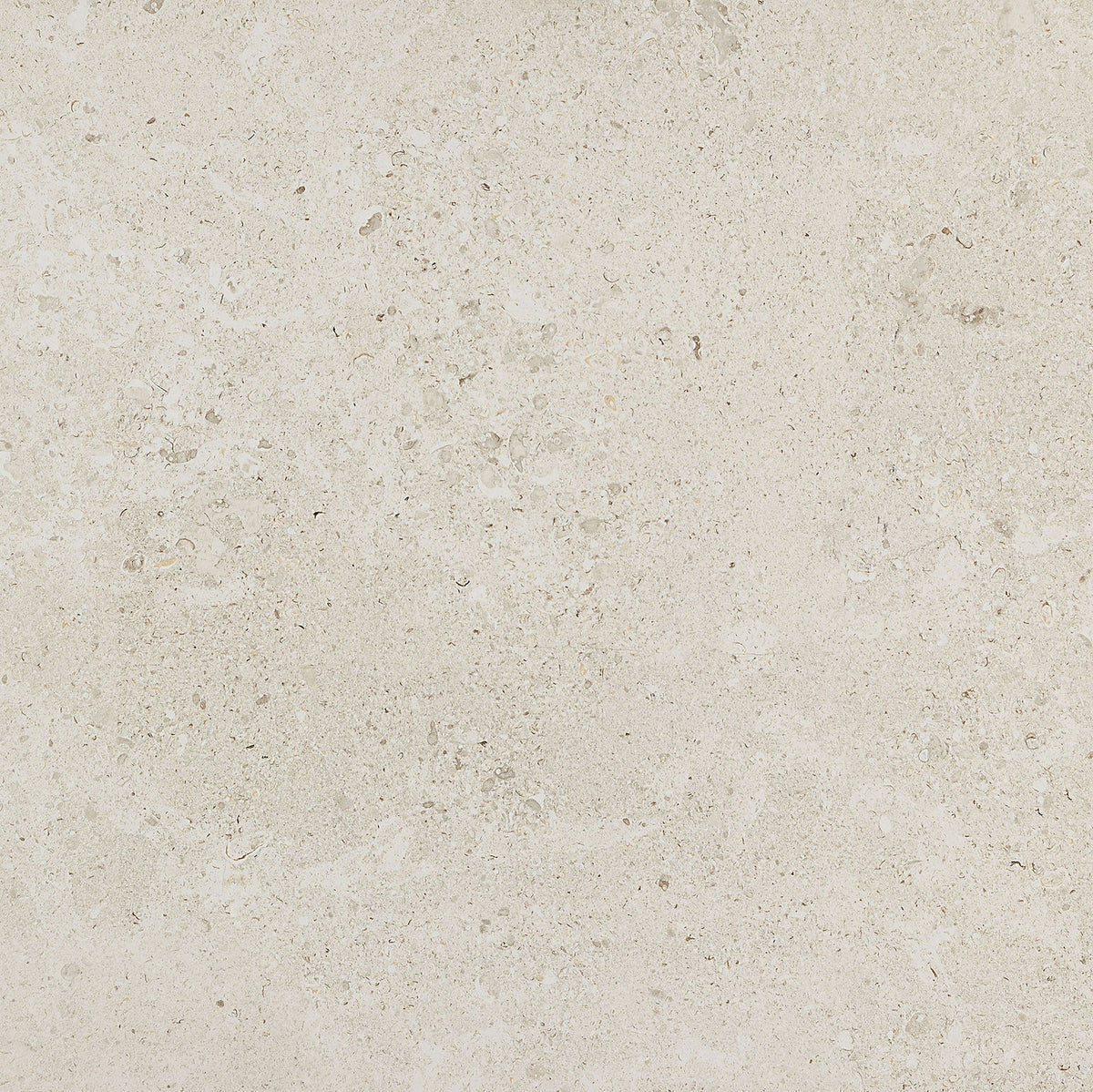 Daltile Dignitary Luminary White Square 24x24 Matte Floor Tile
