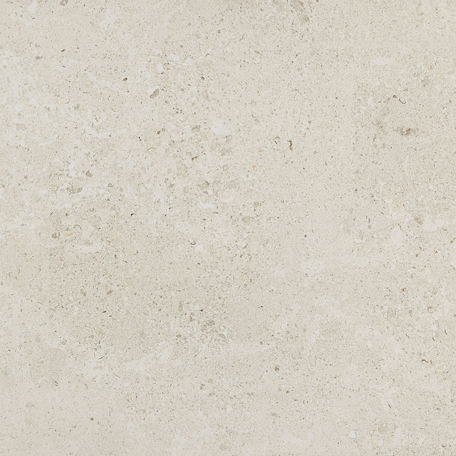 Daltile Dignitary Luminary White Square 24x24 Matte Floor Tile