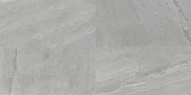 Daltile Society Park Lane Gray Rectangle 8x48 Matte Floor Tile