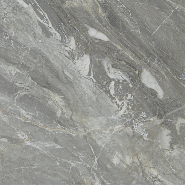 Daltile Famed Glamour Square 24x24 Microban Polished Floor Tile