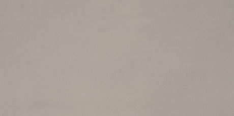 American Olean Neoconcrete Light Gray Rectangle 12x24 Light Polished Floor Tile