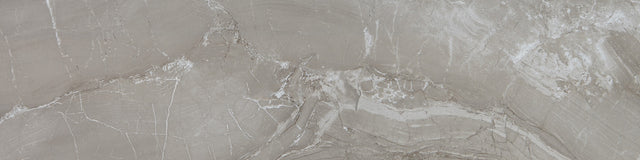 Daltile Famed Fortune Rectangle 6x24 Microban Matte Floor Tile