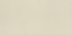 American Olean Neoconcrete White Rectangle 12x24 Stepwise Matte Floor Tile