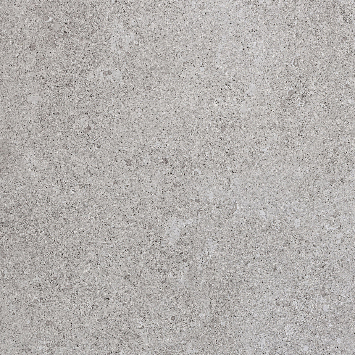 Daltile Dignitary Eminence Grey Square 24x24 Matte Floor Tile