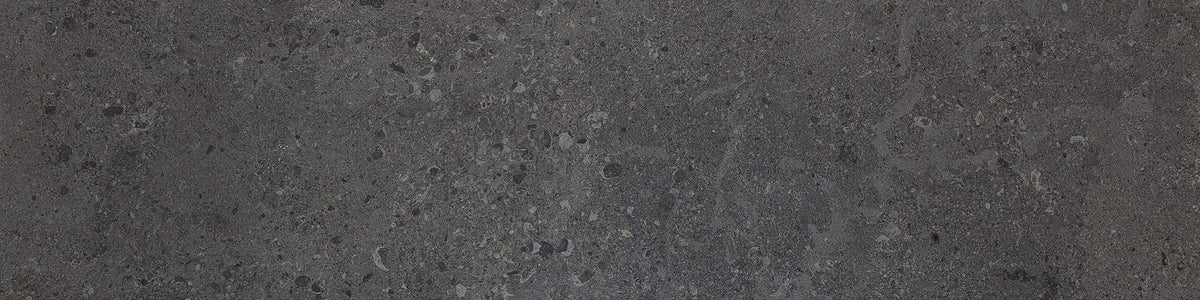 Daltile Dignitary Governor Black Rectangle 24x48 Matte Floor Tile