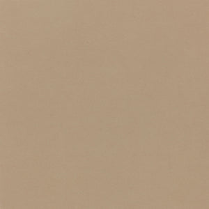 Daltile Plaza Nova Beige Haze Rectangle 2x24 Matte Floor Tile