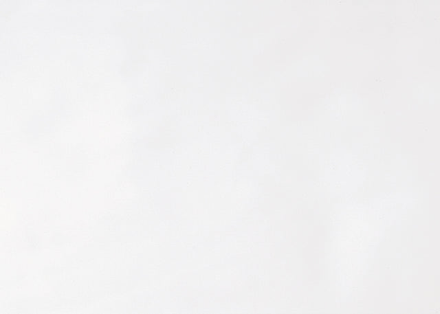 Daltile Polaris Gloss White S4310 Bullnose 10" Side Glossy Wall Tile Trim