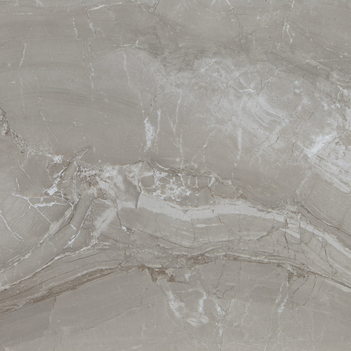 Daltile Famed Fortune Square 24x24 Microban Polished Floor Tile