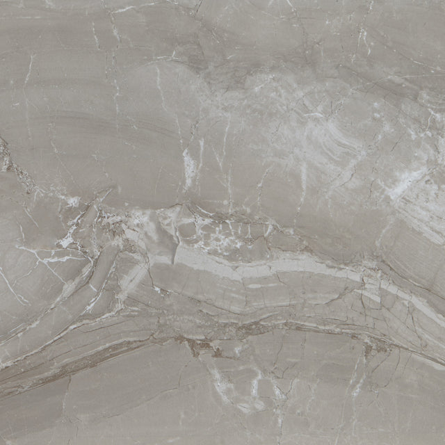 Daltile Famed Fortune Square 24x24 Microban Polished Floor Tile