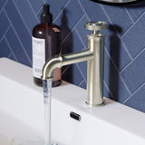 Avallon Single Hole, Single-Handle Wheel, Bathroom Faucet in Brushed Nickel