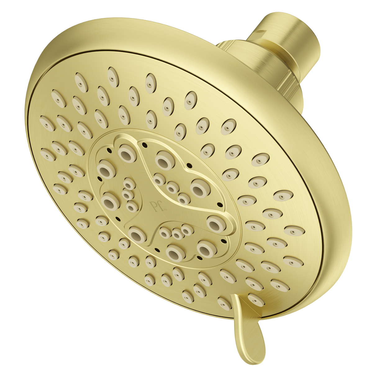 Pfirst Series 1.75 GPM Showerhead in Brushed Gold - 12 Piece Job Pack