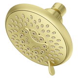 Pfirst Series 1.75 GPM Showerhead in Brushed Gold - 12 Piece Job Pack