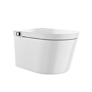 Hugo H Wall-Hung Toilet in Glossy White with Integrated Tank Manual Bidet and Supporting Frame