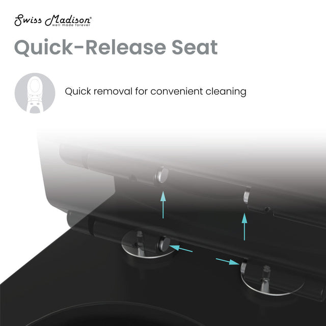 Monaco One-Piece Elongated Toilet Dual-Flush, Matte Black 1.1/1.6 gpf