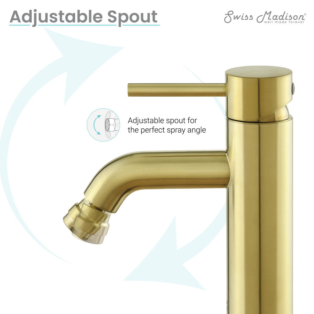 Ivy Bidet Faucet in Brushed Gold