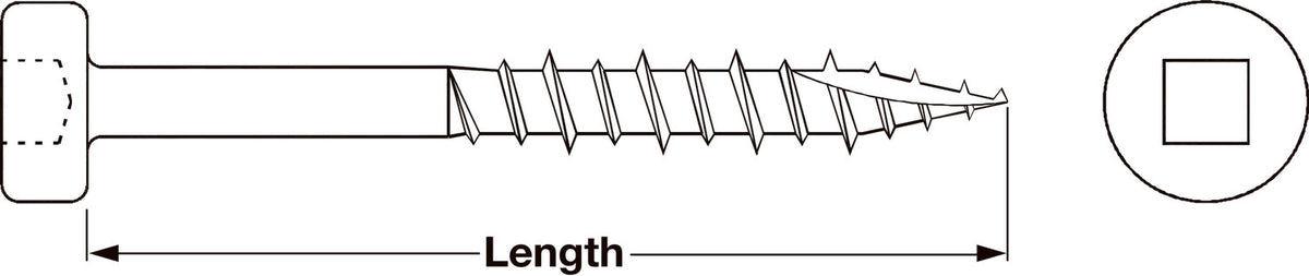 Häfele 019.09.080 Pocket Hole Screw, Pan Head, T17, Square Drive, Fine Threads, Steel, Dry Lube, #6-18 x 1"
