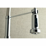 Gourmetier GS8181DL Concord 2-Handle Wall Mount Pull-Down Kitchen Faucet, Polished Chrome