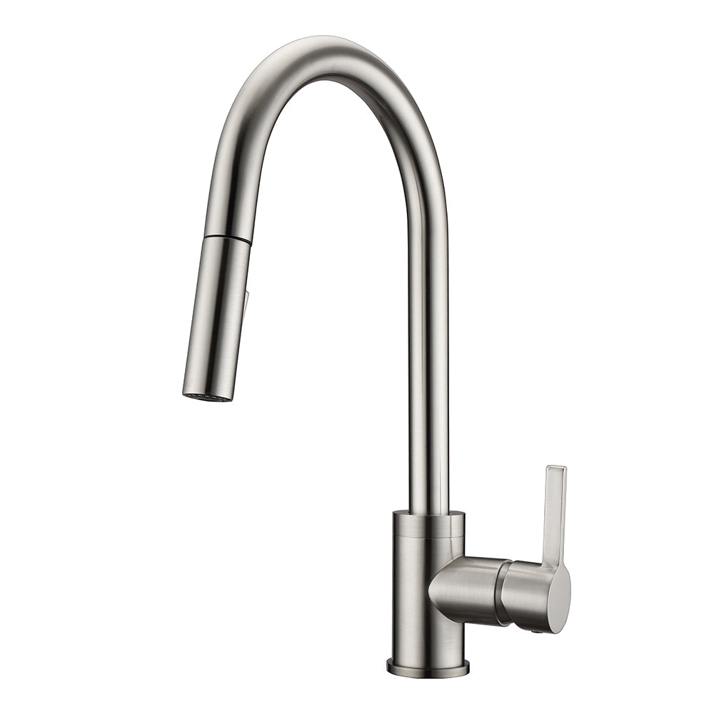 Fenton Single Handle Kitchen Faucet with Single Handle 1