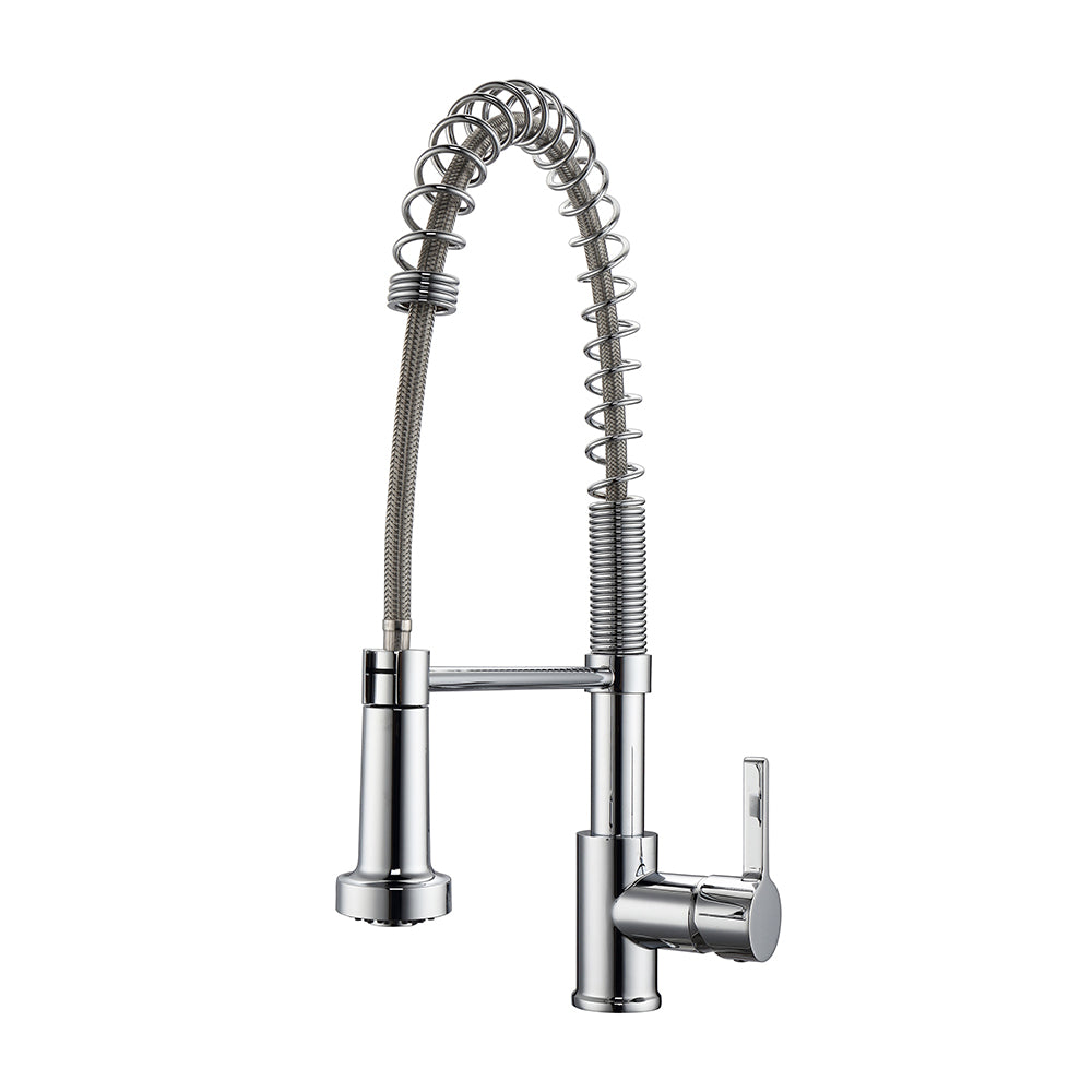 Niall Spring Kitchen Faucet with Single Handle 1