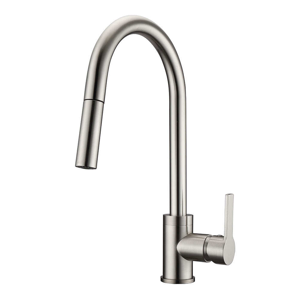 Fenton Single Handle Kitchen Faucet with Single Handle 2