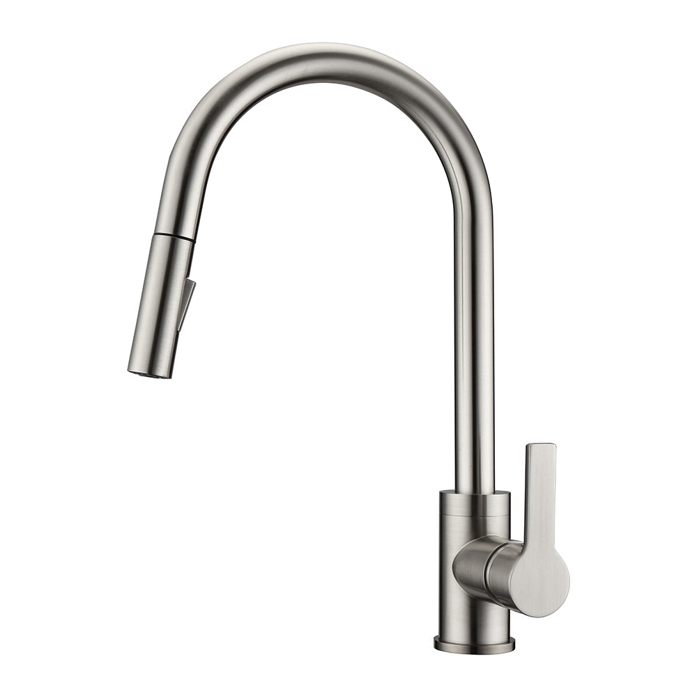 Fenton Single Handle Kitchen Faucet with Single Handle 2