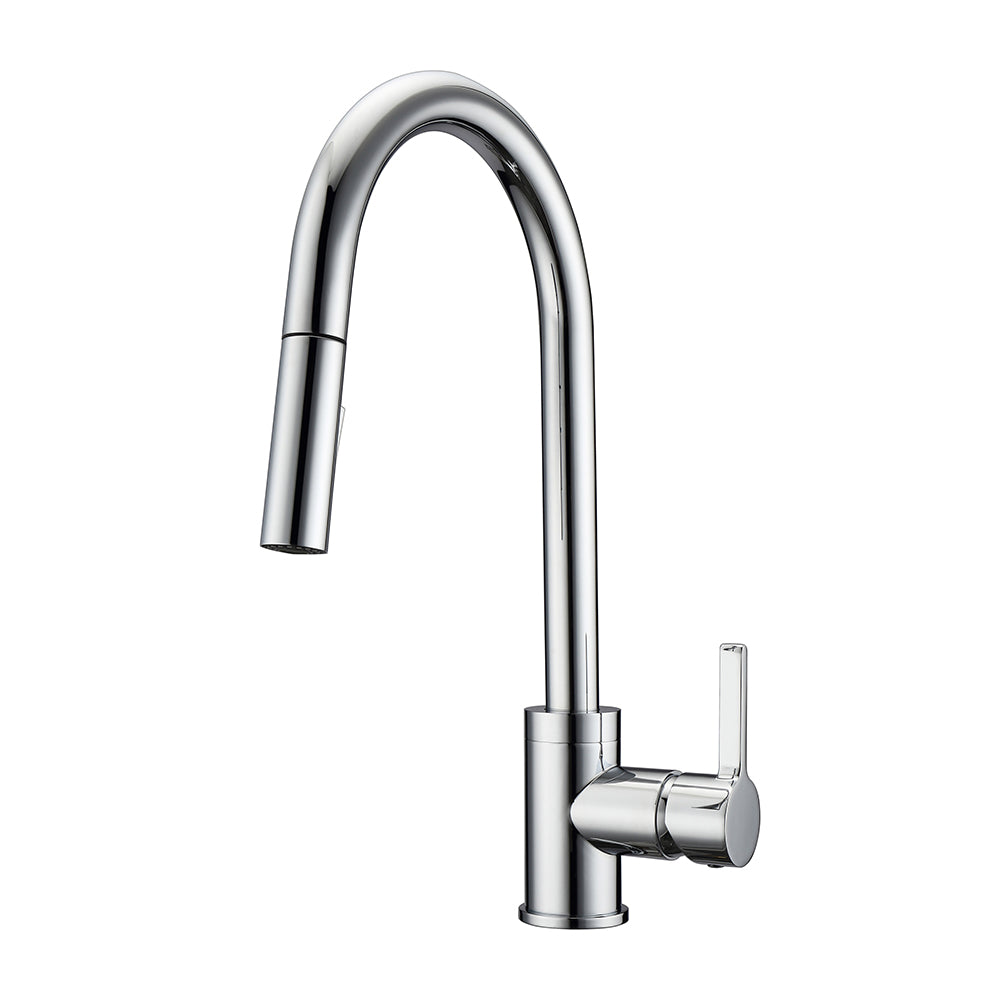 Fenton Single Handle Kitchen Faucet with Single Handle 1