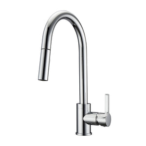 Fenton Single Handle Kitchen Faucet with Single Handle 1