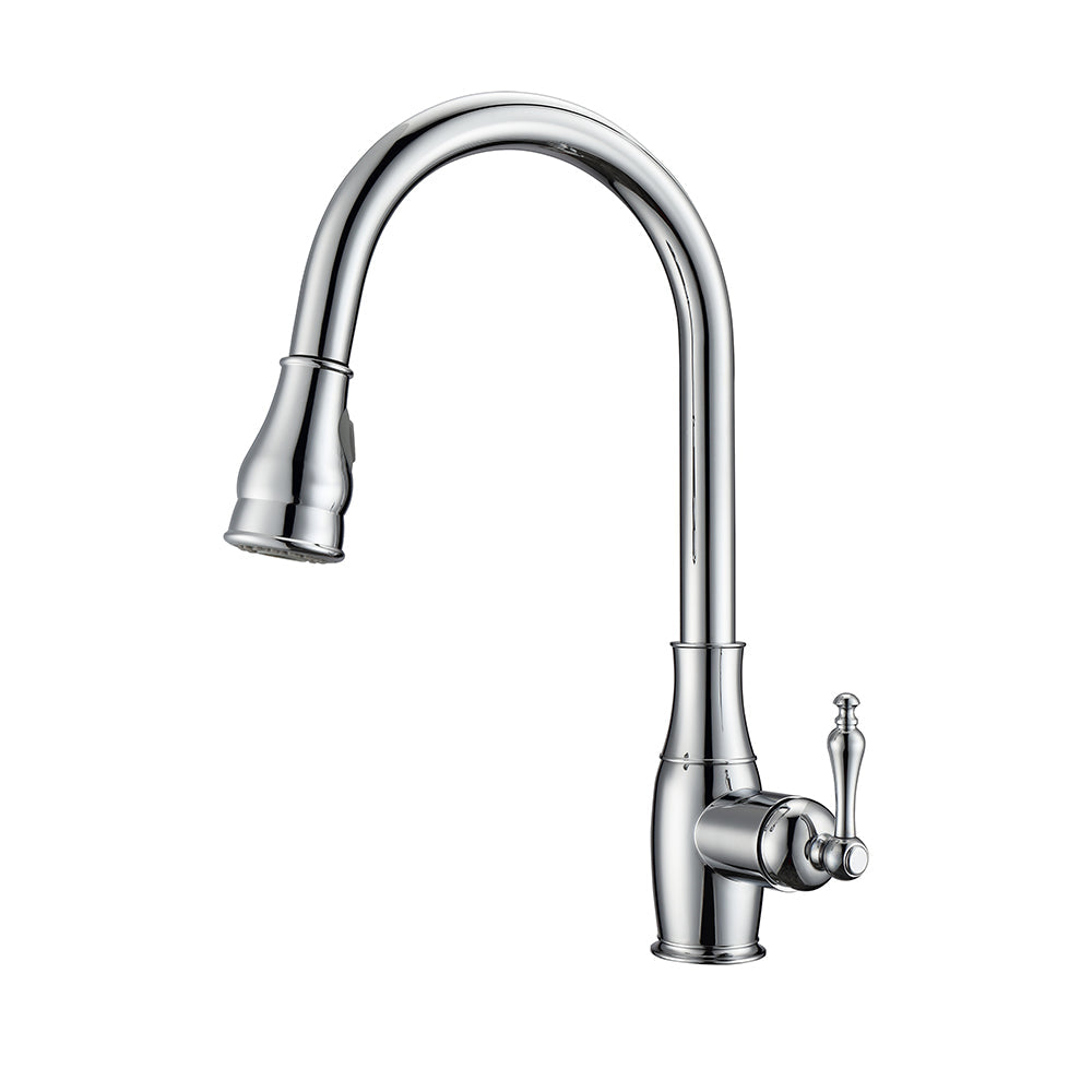 Caryl Single Handle Kitchen Faucet with Single Handle 1