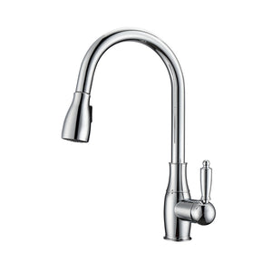 Cullen Single Handle Kitchen Faucet with Single Handle 2