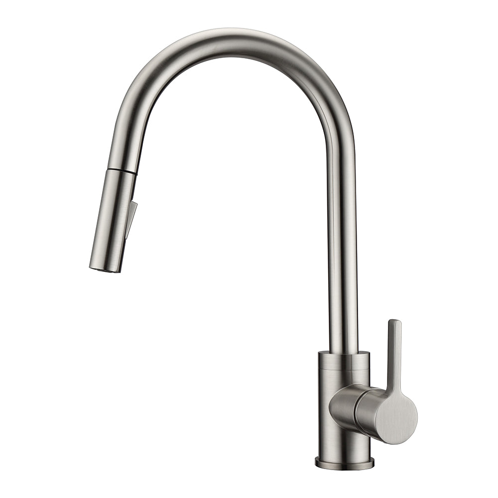 Fenton Single Handle Kitchen Faucet with Single Handle 1