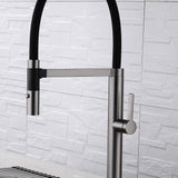 DAX Brass Single Handle Pull Out Kitchen Faucet with Dual Sprayer and Shower, Gunmetal DAX-S2417-01
