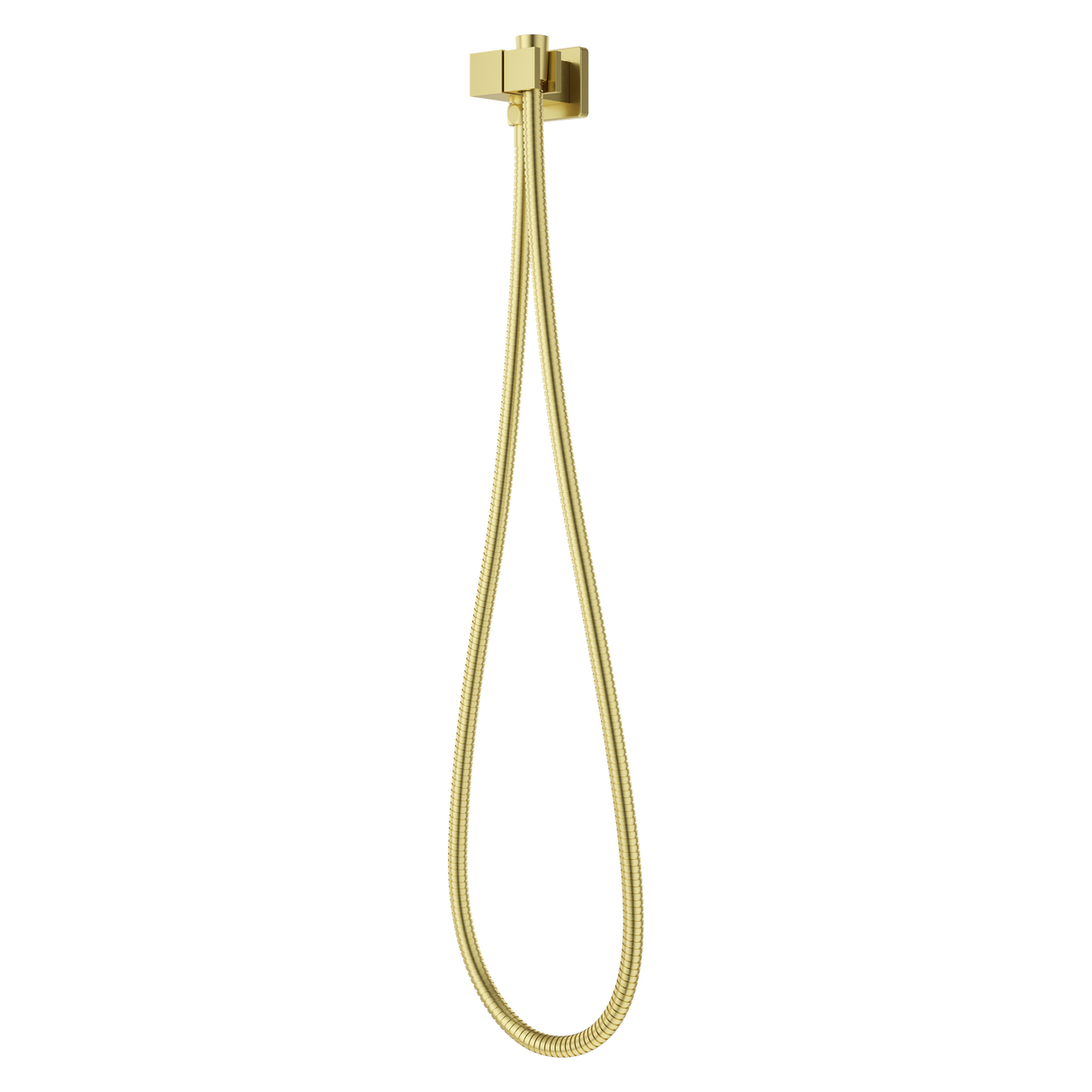 Modern Square 2-Piece Handheld Shower Kit with 60 in. Hose in Brushed Gold
